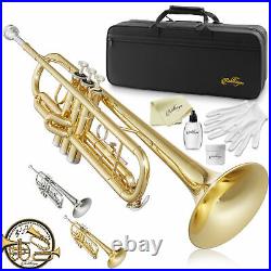 Bb Standard Trumpet, Brass Band Instrument B Flat Key with Padded Case, Mouthpiece