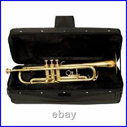 Bb Standard Trumpet, Brass Band Instrument B Flat Key with Padded Case, Mouthpiece