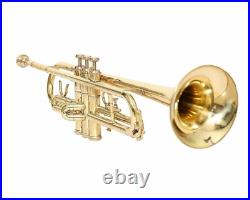 Bb Standard Trumpet, Brass Band Instrument B Flat Key with Padded Case, Mouthpiece