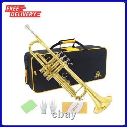 Bb Standard Trumpet Set, Band & Orchestra Musical Instruments for Beginners or