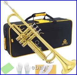 Bb Standard Trumpet Set, Band & Orchestra Musical Instruments for Beginners or