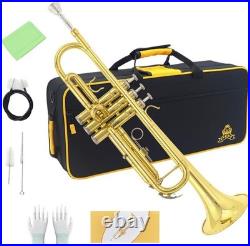 Bb Standard Trumpet Set, Band & Orchestra Musical Instruments for Beginners or