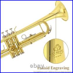 Bb Standard Trumpet Set, Band & Orchestra Musical Instruments for Beginners or