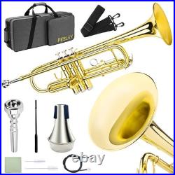 Bb Standard Trumpet Set Brass Trumpets for Beginner Student, Brass Trumpet I