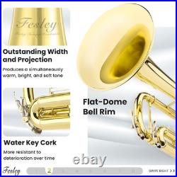 Bb Standard Trumpet Set Brass Trumpets for Beginner Student, Brass Trumpet I