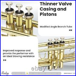 Bb Standard Trumpet Set Brass Trumpets for Beginner Student, Brass Trumpet I