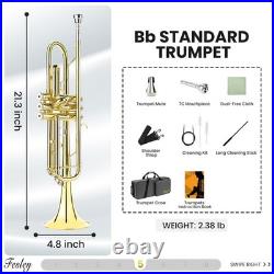 Bb Standard Trumpet Set Brass Trumpets for Beginner Student, Brass Trumpet I
