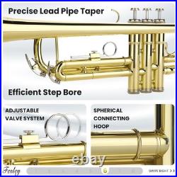 Bb Standard Trumpet Set Brass Trumpets for Beginner Student, Brass Trumpet I