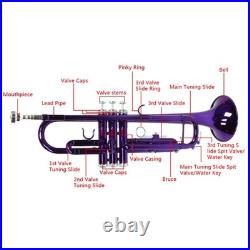 Bb Trumpet Beginner Kit Purple Lacquer Yellow Brass Mouthpiece Hardshell Case