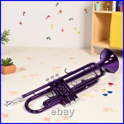 Bb Trumpet Beginner Kit Purple Lacquer Yellow Brass Mouthpiece Hardshell Case
