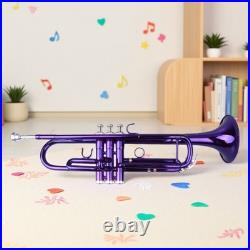 Bb Trumpet Beginner Kit Purple Lacquer Yellow Brass Mouthpiece Hardshell Case