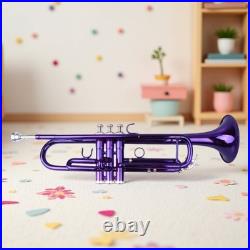 Bb Trumpet Beginner Kit Purple Lacquer Yellow Brass Mouthpiece Hardshell Case