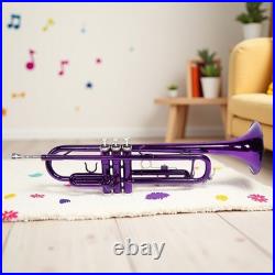 Bb Trumpet Beginner Kit Purple Lacquer Yellow Brass Mouthpiece Hardshell Case