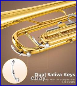 Bb Trumpet Brass Standard Gold Trumpet Instrument for Student School Band Orches