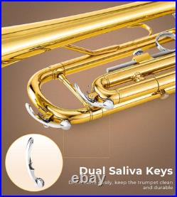Bb Trumpet Brass Standard Gold Trumpet Instrument for Student School Band Orches