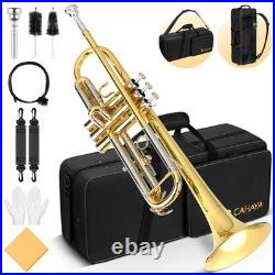 Bb Trumpet Instrument Trompeta Brass Student Trumpet with Hard Case 7C Mouth