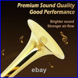 Bb Trumpet Kit Standard Trumpet for student ensembles and beginners