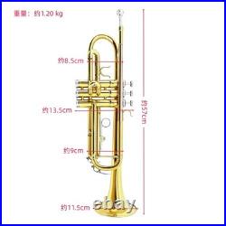 Bb Trumpet Kit Standard Trumpet for student ensembles and beginners