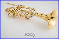 Bb Trumpet Yellow Brass Brass instruments