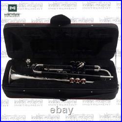 Bb Trumpet for Beginners, Brass Trumpet with Mouthpiece & Case