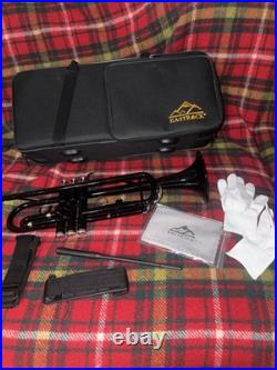 Black Trumpet Brass Standard Bb Wind Instruments with Case No Mouthpiece (123)