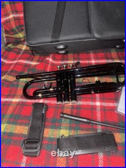 Black Trumpet Brass Standard Bb Wind Instruments with Case No Mouthpiece (123)