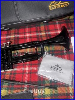 Black Trumpet Brass Standard Bb Wind Instruments with Case No Mouthpiece (123)
