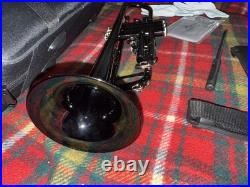 Black Trumpet Brass Standard Bb Wind Instruments with Case No Mouthpiece (123)
