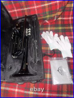 Black Trumpet Brass Standard Bb Wind Instruments with Case No Mouthpiece (123)