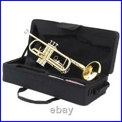 Brand New Golden Lacquer Brass Bb Trumpet + Case Student School Band