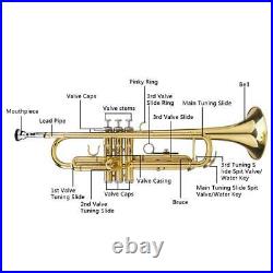Brand New Golden Lacquer Brass Bb Trumpet + Case Student School Band