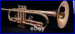 Brand new Coppernicus double shepherd's crook trumpet in copper plate