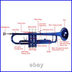 Brass B Flat Trumpet Set with Case Mouth of Trumpet Gloves Blue