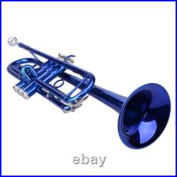 Brass B Flat Trumpet Set with Case Mouth of Trumpet Gloves Blue