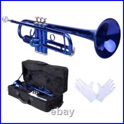 Brass B Flat Trumpet Set with Case Mouth of Trumpet and Gloves Blue