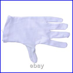 Brass B Flat Trumpet Set with Case Mouth of Trumpet and Gloves Blue