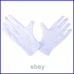 Brass B Flat Trumpet Set with Case Mouth of Trumpet and Gloves Blue