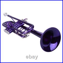 Brass B Flat Trumpet with Case Mouth of Trumpet Gloves Violet