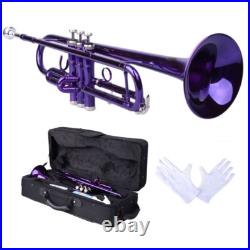 Brass B Flat Trumpet with Case Mouth of Trumpet and Gloves Violet