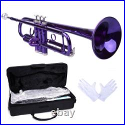 Brass B Flat Trumpet with Case Mouth of Trumpet and Gloves Violet
