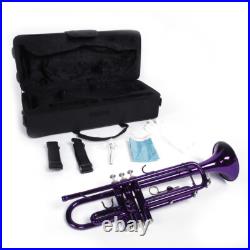 Brass B Flat Trumpet with Case Mouth of Trumpet and Gloves Violet