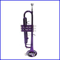 Brass B Flat Trumpet with Case Mouth of Trumpet and Gloves Violet