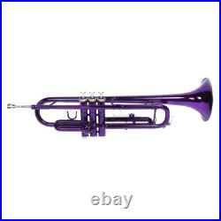 Brass B Flat Trumpet with Case Mouth of Trumpet and Gloves Violet