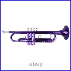 Brass B Flat Trumpet with Case Mouth of Trumpet and Gloves Violet