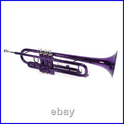 Brass B Flat Trumpet with Case Mouth of Trumpet and Gloves Violet