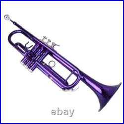 Brass B Flat Trumpet with Case Mouth of Trumpet and Gloves Violet