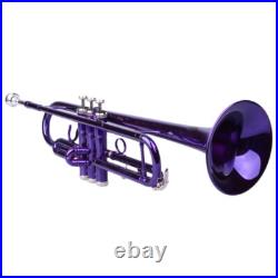 Brass B Flat Trumpet with Case Mouth of Trumpet and Gloves Violet