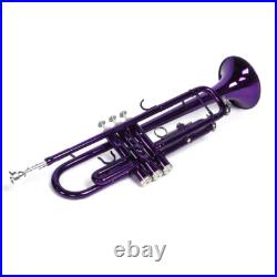 Brass B Flat Trumpet with Case Mouth of Trumpet and Gloves Violet