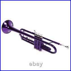 Brass B Flat Trumpet with Case Mouth of Trumpet and Gloves Violet