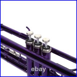 Brass B Flat Trumpet with Case Mouth of Trumpet and Gloves Violet